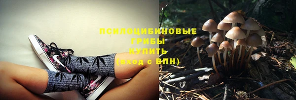 экстази Лиски