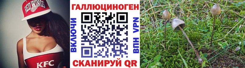 MEGA как войти  Райчихинск  Галлюциногенные грибы Cubensis 